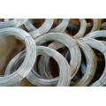 Hot Dipped Galvanized Welded Wire Mesh Roll